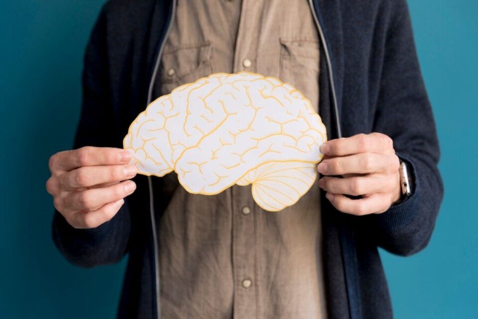 Améliorer la mémoire Guide des solutions naturelles et compléments