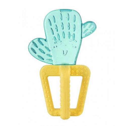 Chicco Anneau Dentition Fresh Cactus 4M+
