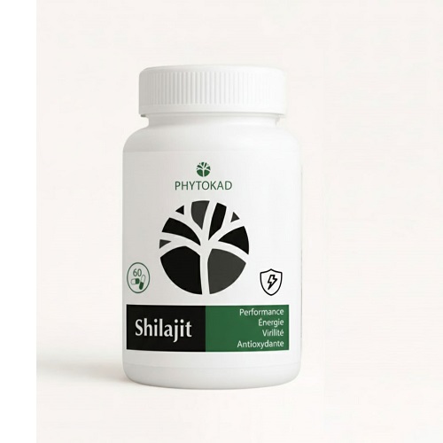 Phytokad Shilajit 60 Gélules