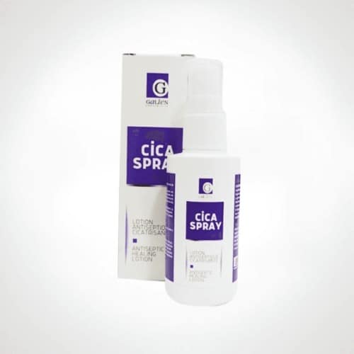 Galien Cica Spray Lotion Antiseptique Cicatrisante 100 ml