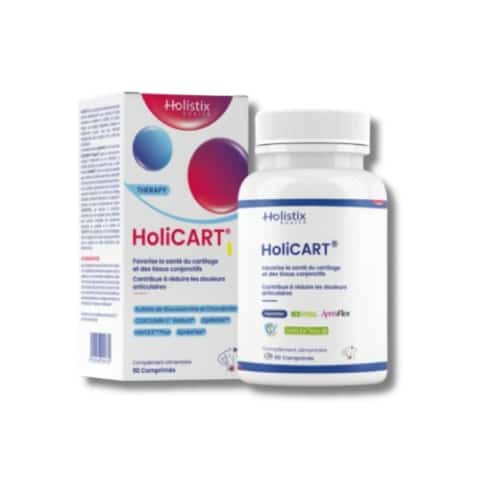 Holistix HoliCART Confort Articulaire 90 Comprimés