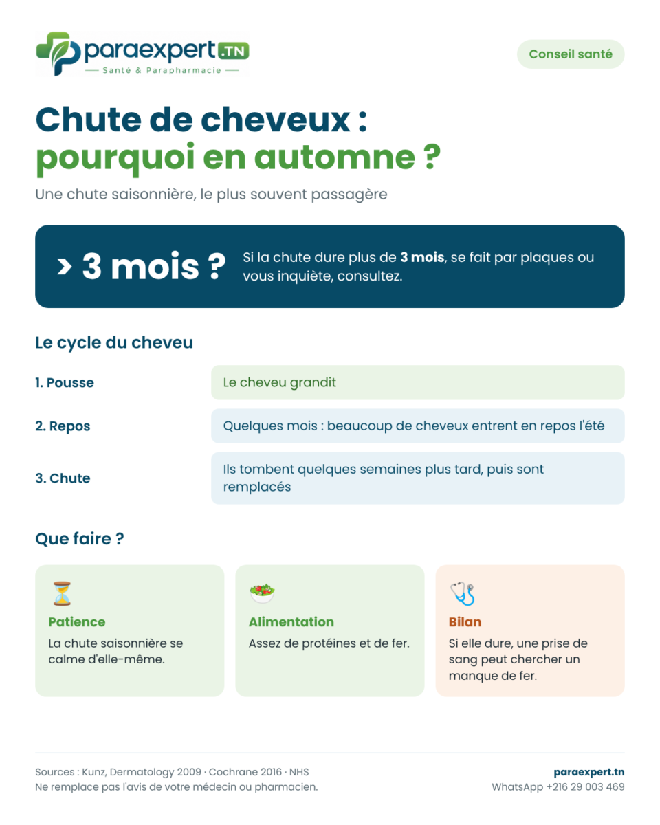Infographie : chute de cheveux en automne, normale ou pas