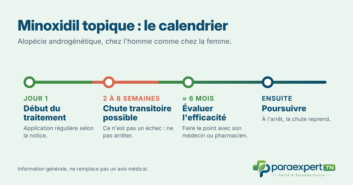Calendrier du minoxidil topique : chute transitoire possible de 2 à 8 semaines, évaluation de l'efficacité vers 6 mois, traitement à poursuivre