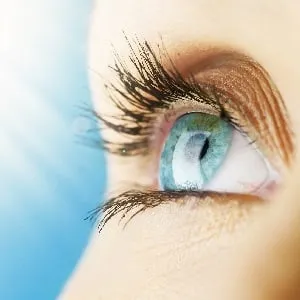 Yeux & Vision